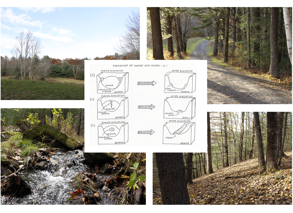 QUIET PLEASE FARM DESIGN & NATURE Lang